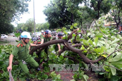 Bão số 2 suy yếu nhưng vẫn gây mưa to diện rộng, Hà Nội đề phòng ngập ảnh 1